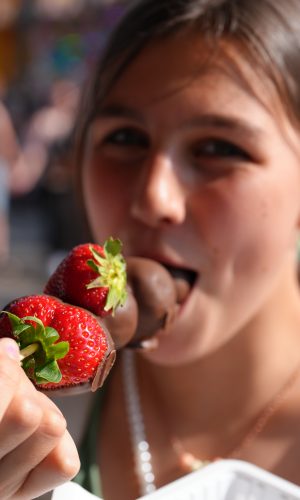 @ronjanssens op Instagram